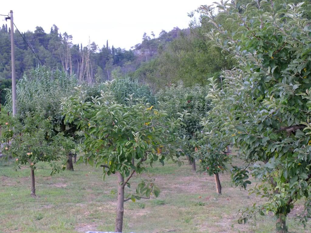 וירפזאר Holiday Home Ivana חדר תמונה