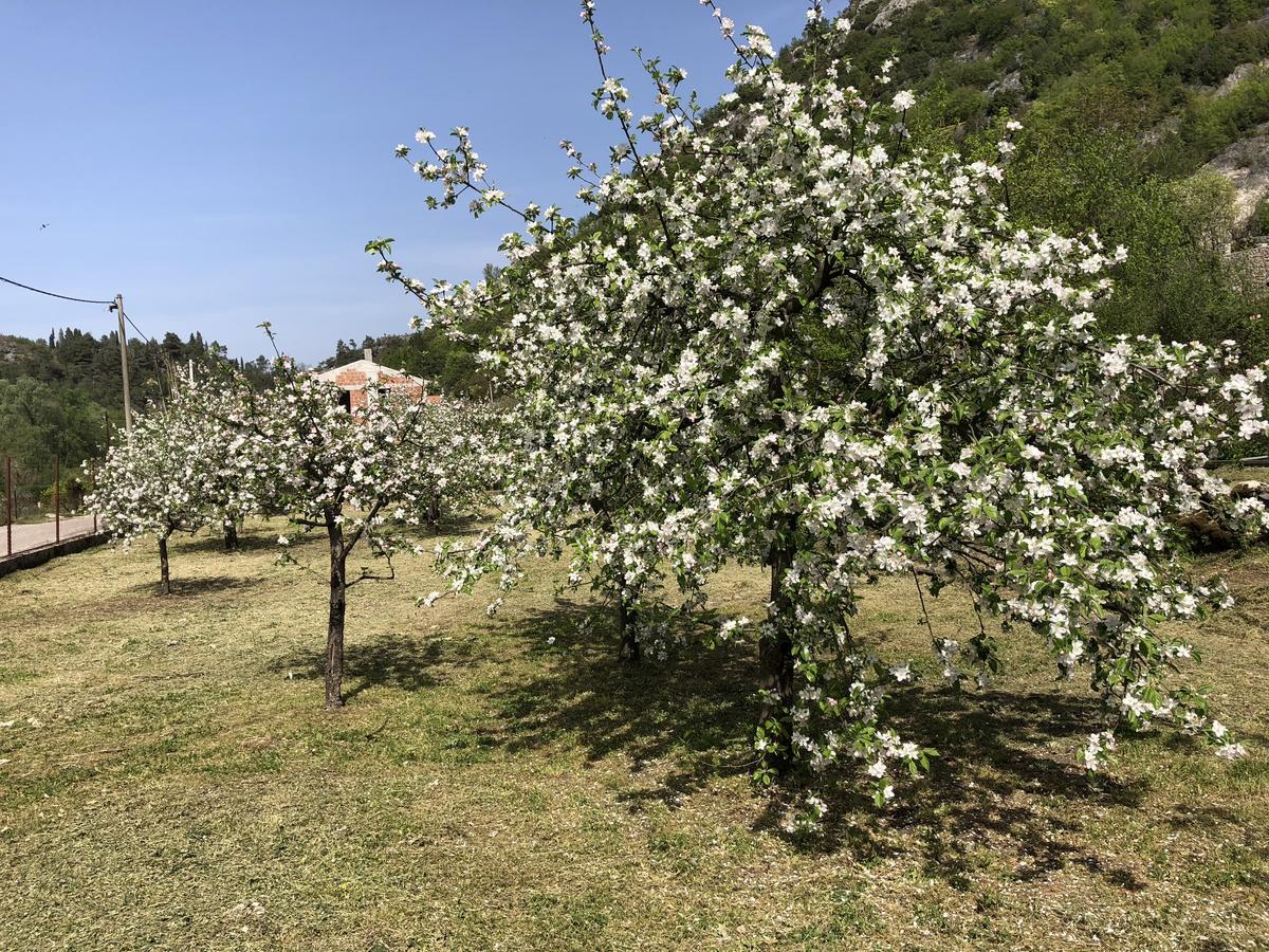 וירפזאר Holiday Home Ivana מראה חיצוני תמונה