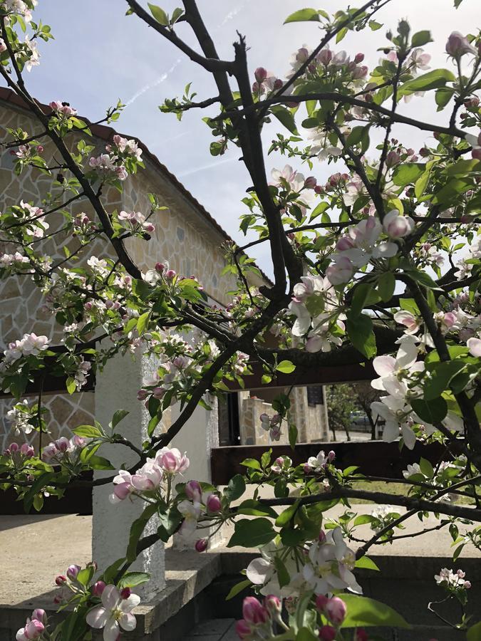 וירפזאר Holiday Home Ivana מראה חיצוני תמונה
